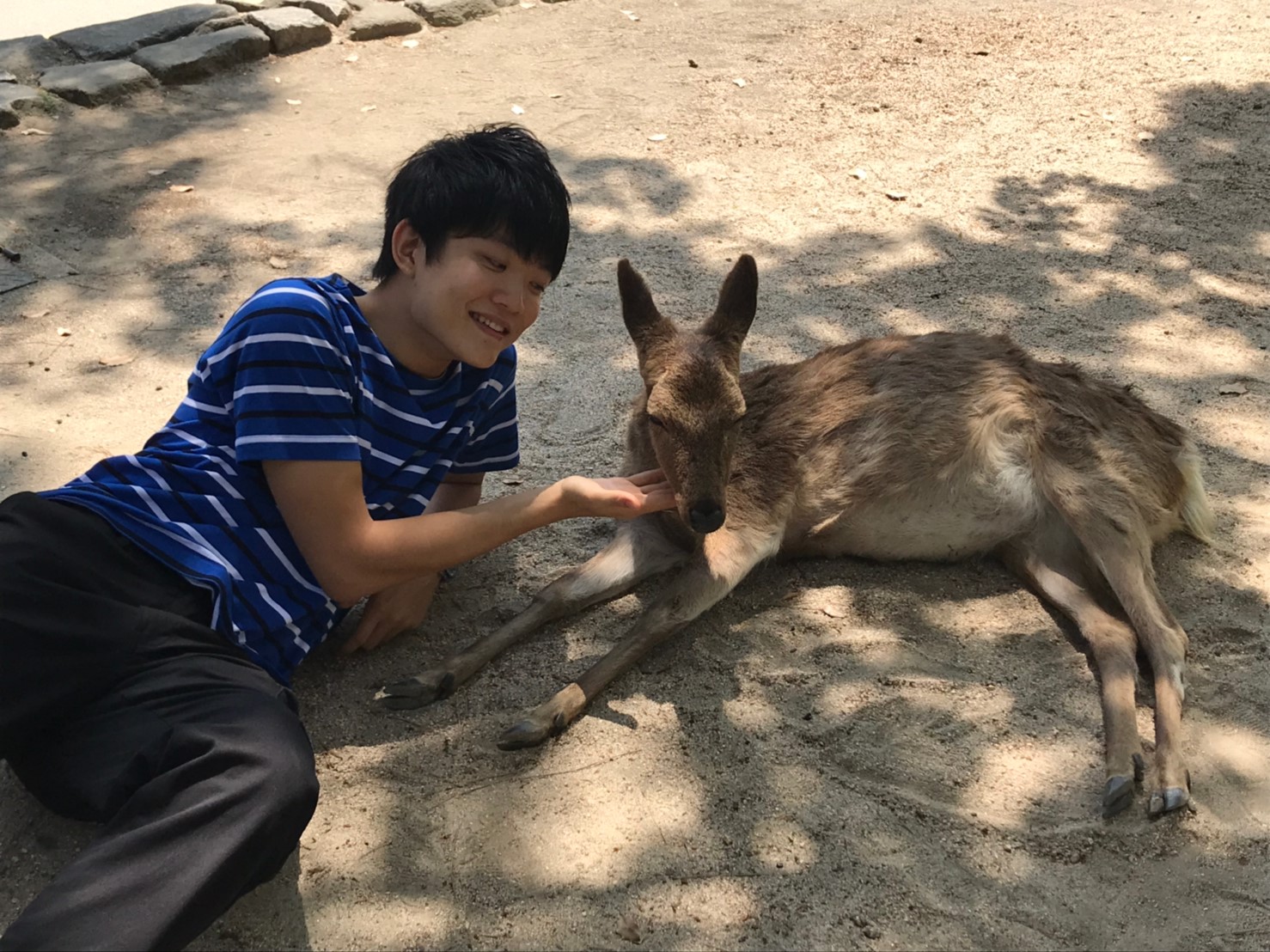 地面に寝そべる鹿とのツーショットです。鹿の顎に手をあてています。