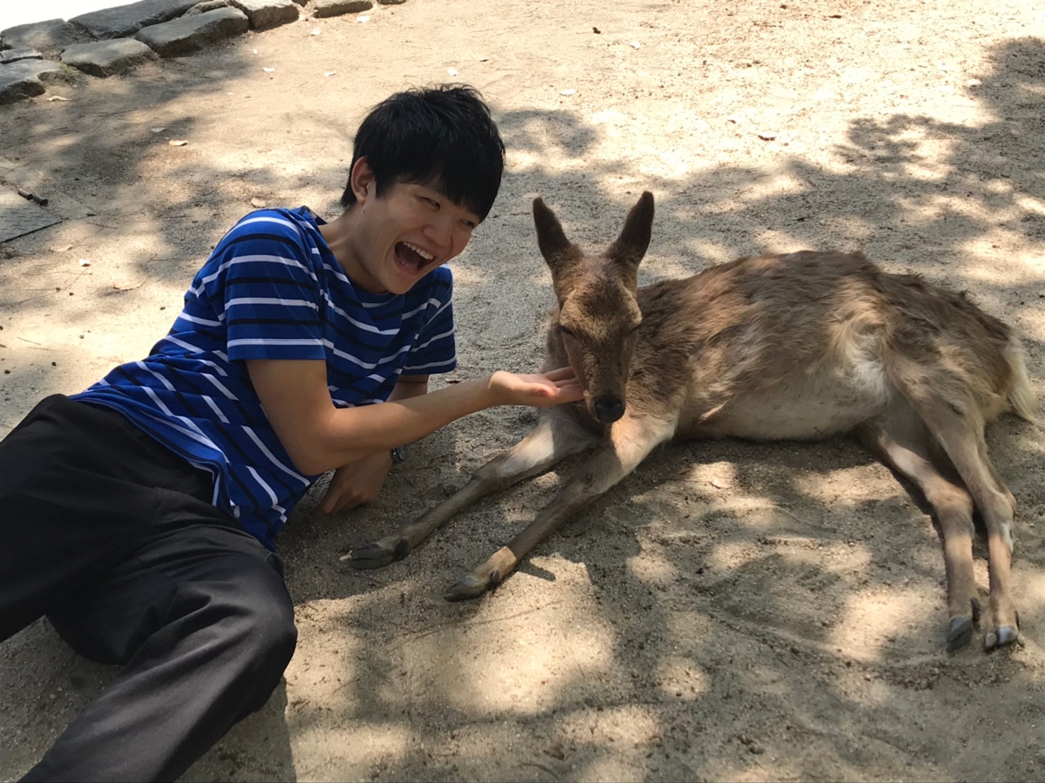 地面に寝そべる鹿とのツーショットです。鹿の顎に手をあて、私が満面の笑みを浮かべています。